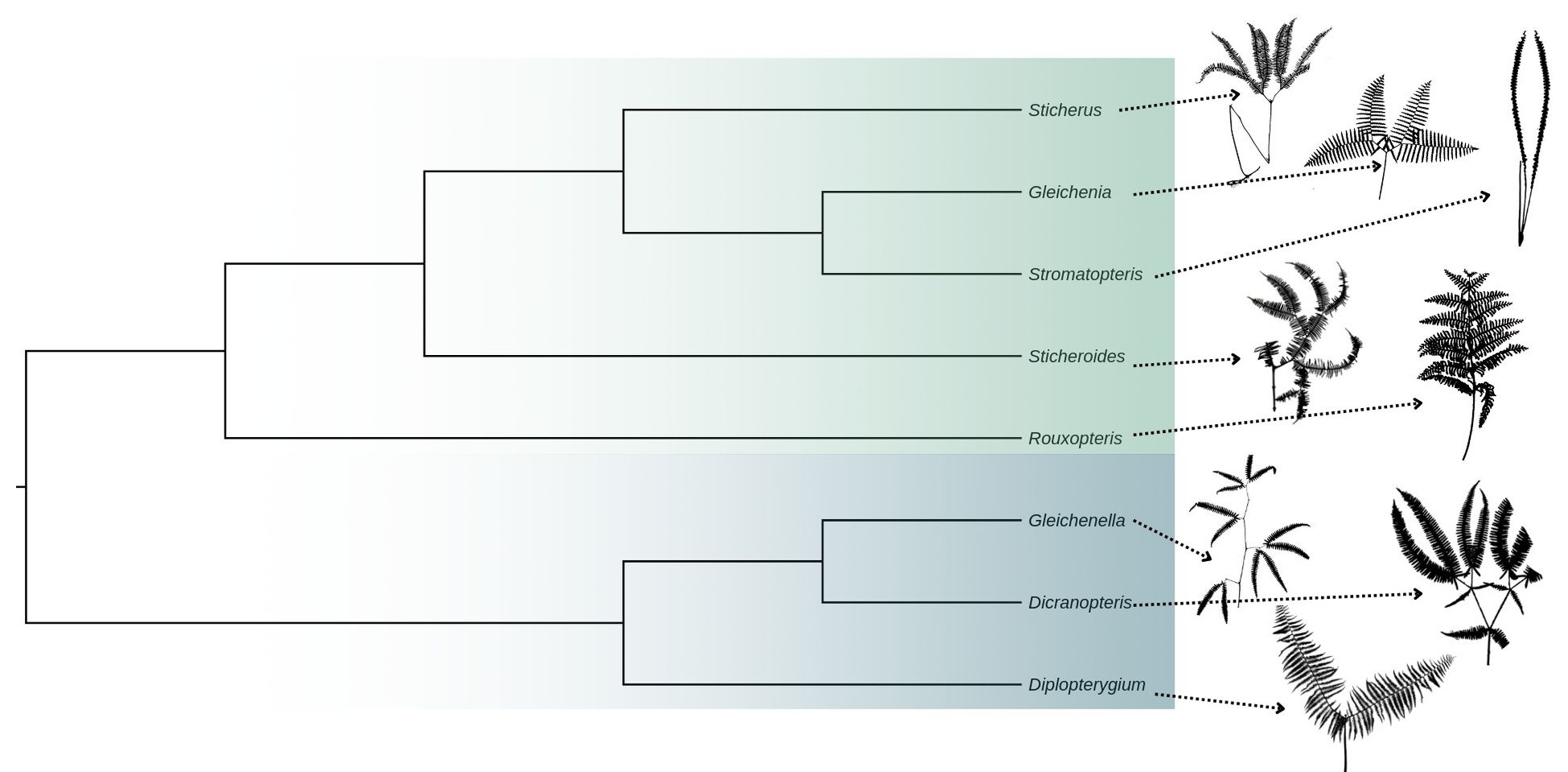 Image from article 2